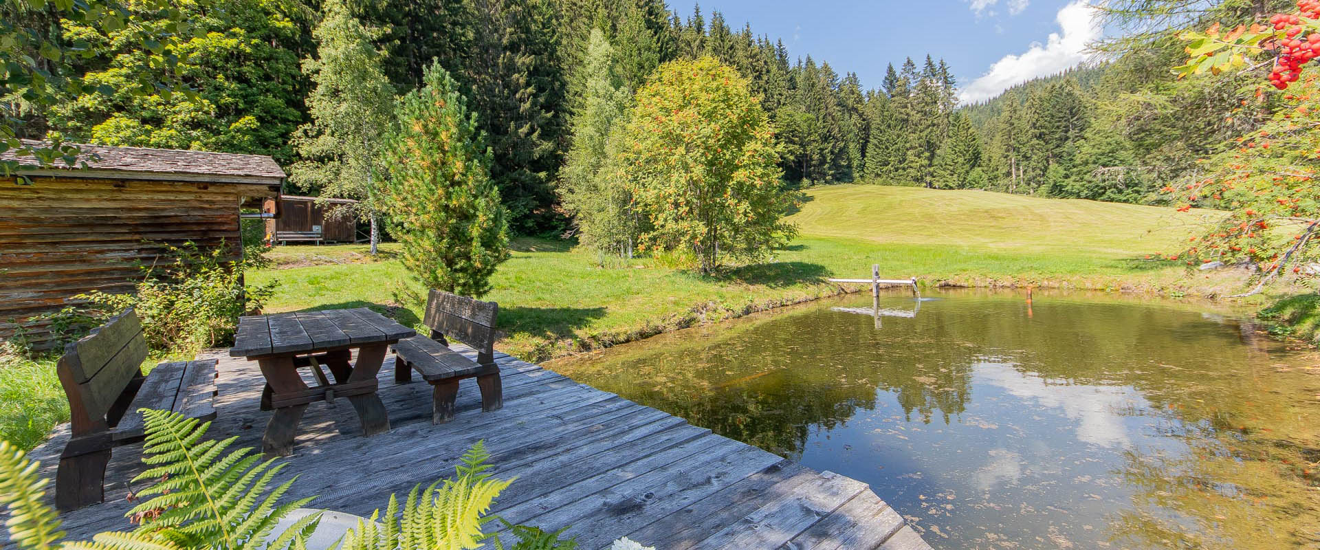 Chalet Niedermaisgut Ferienwohnung Eben Teich 1372